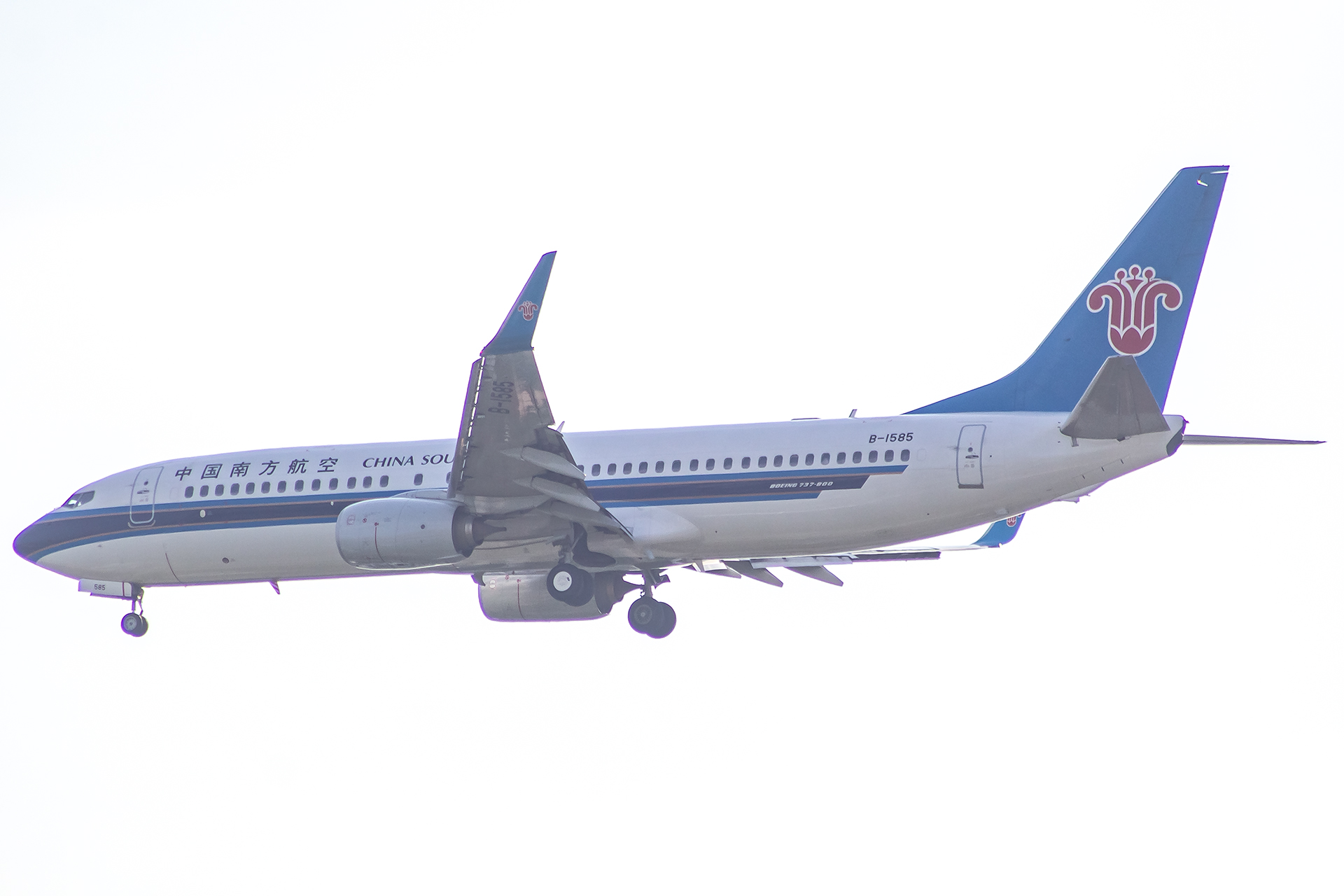 B-1585/B1585 China Southern Airlines Boeing 737-800(WL) Photo by JLRAviation - AVSpotters.com