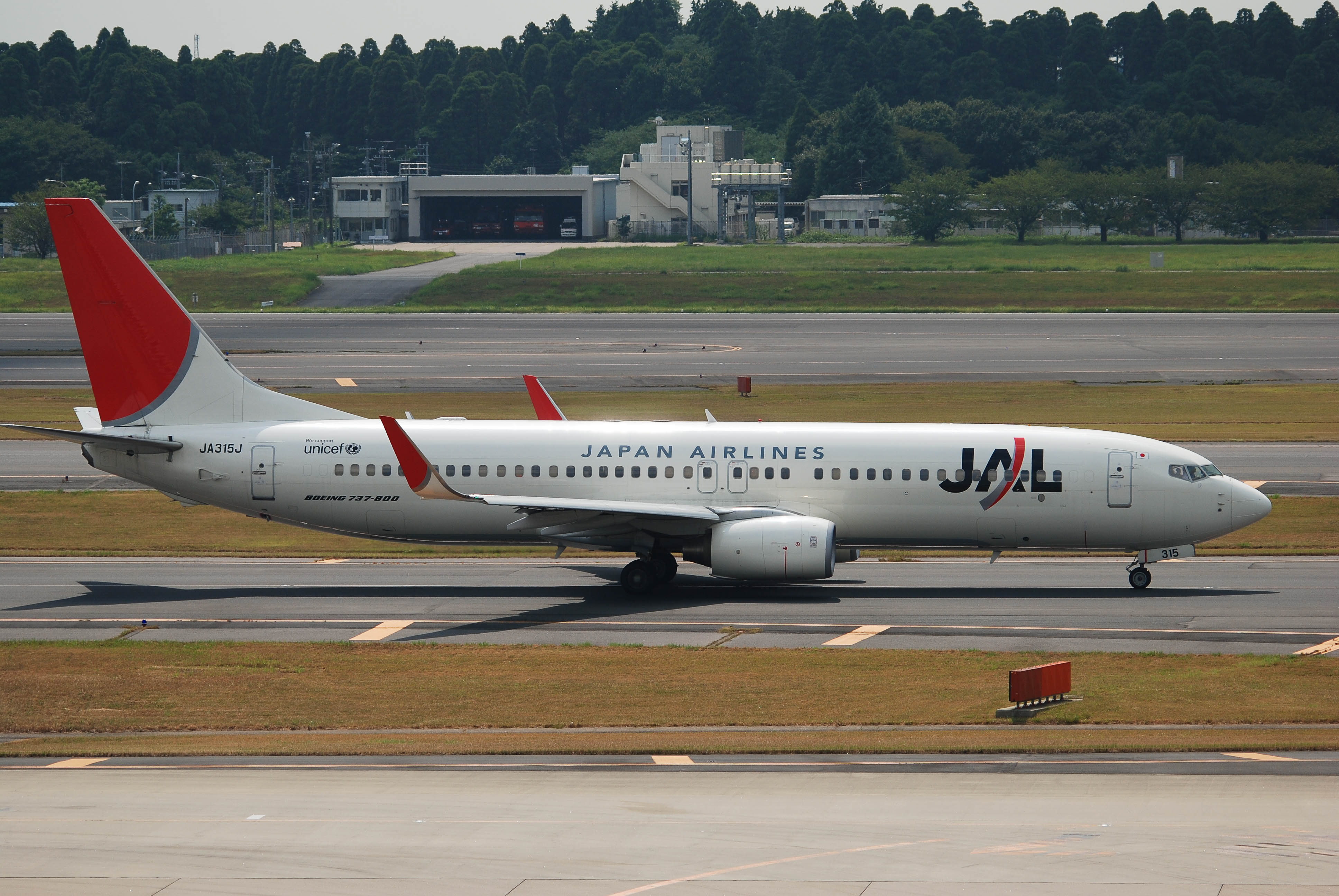 JA315J/JA315J Japan Airlines Boeing 737-846(WL) Photo by colinw - AVSpotters.com