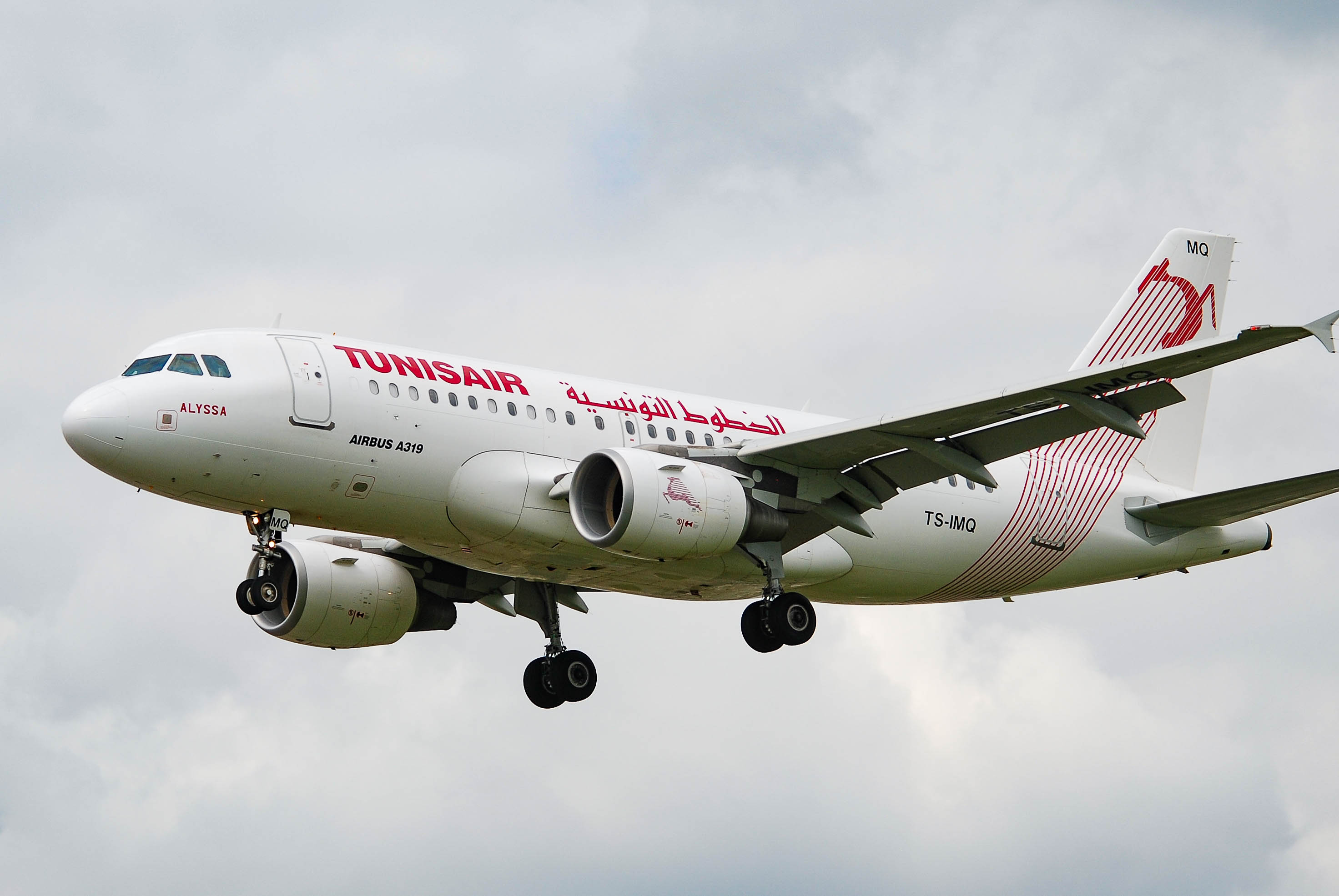 TS-IMQ/TSIMQ Tunisair Airbus A319 Airframe Information - AVSpotters.com