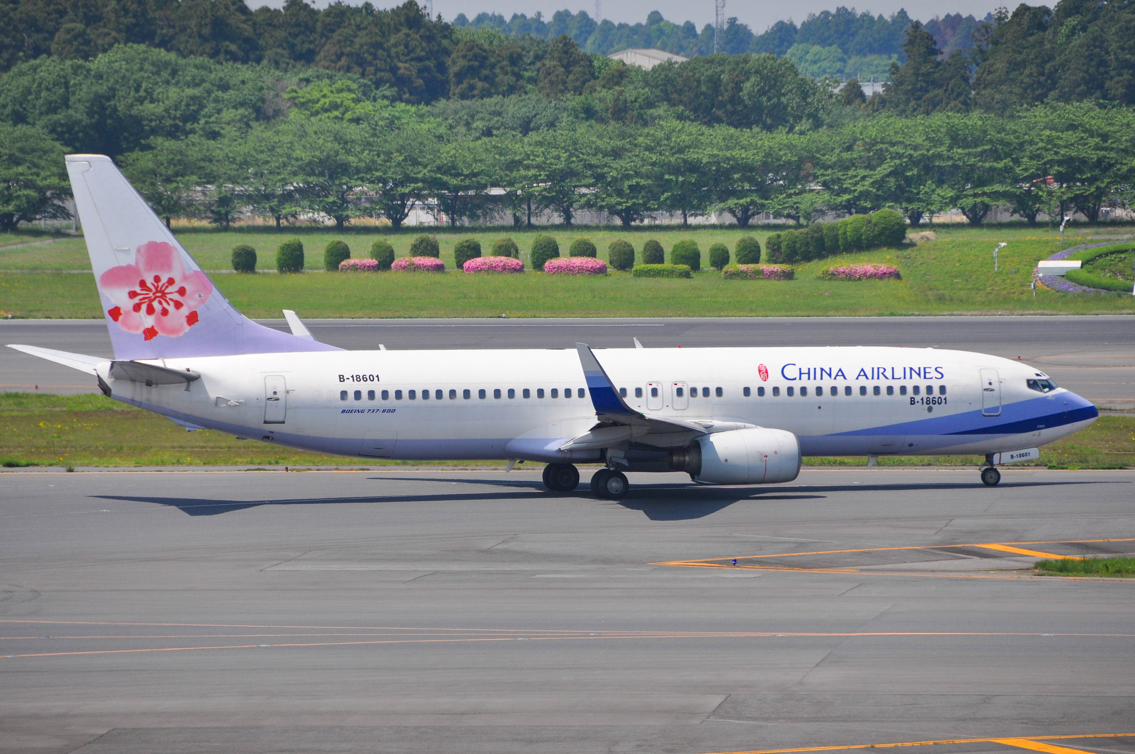 B-18601/B18601 China Airlines Boeing 737-809(WL) Photo by colinw - AVSpotters.com