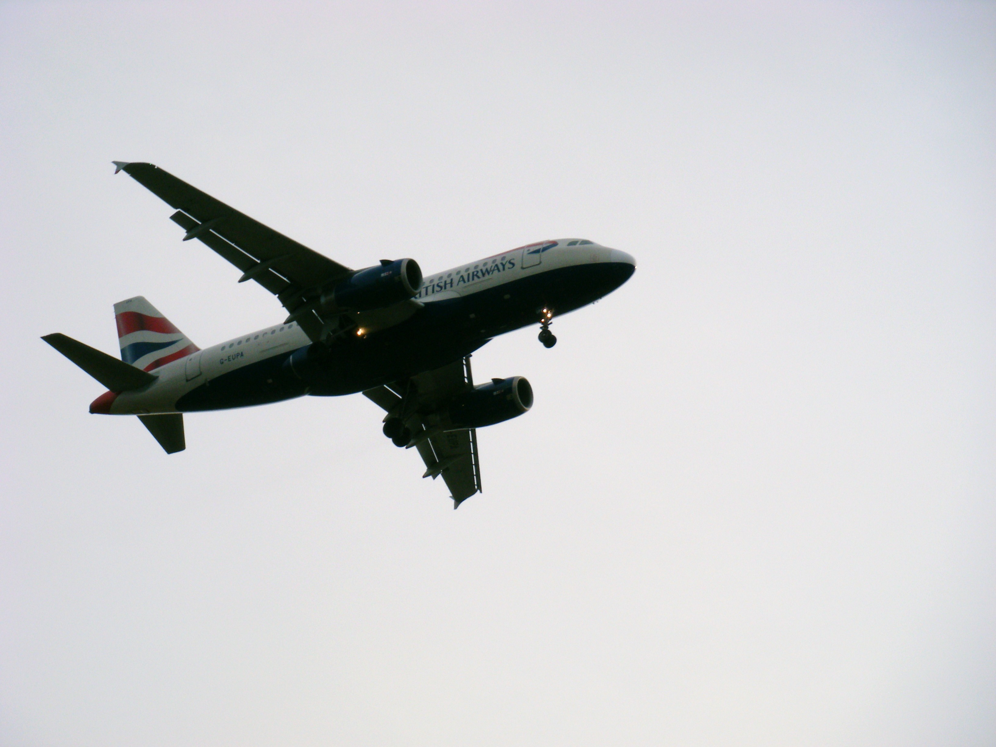 G-EUPA/GEUPA British Airways Airbus A319-131 Photo by RJflyer - AVSpotters.com