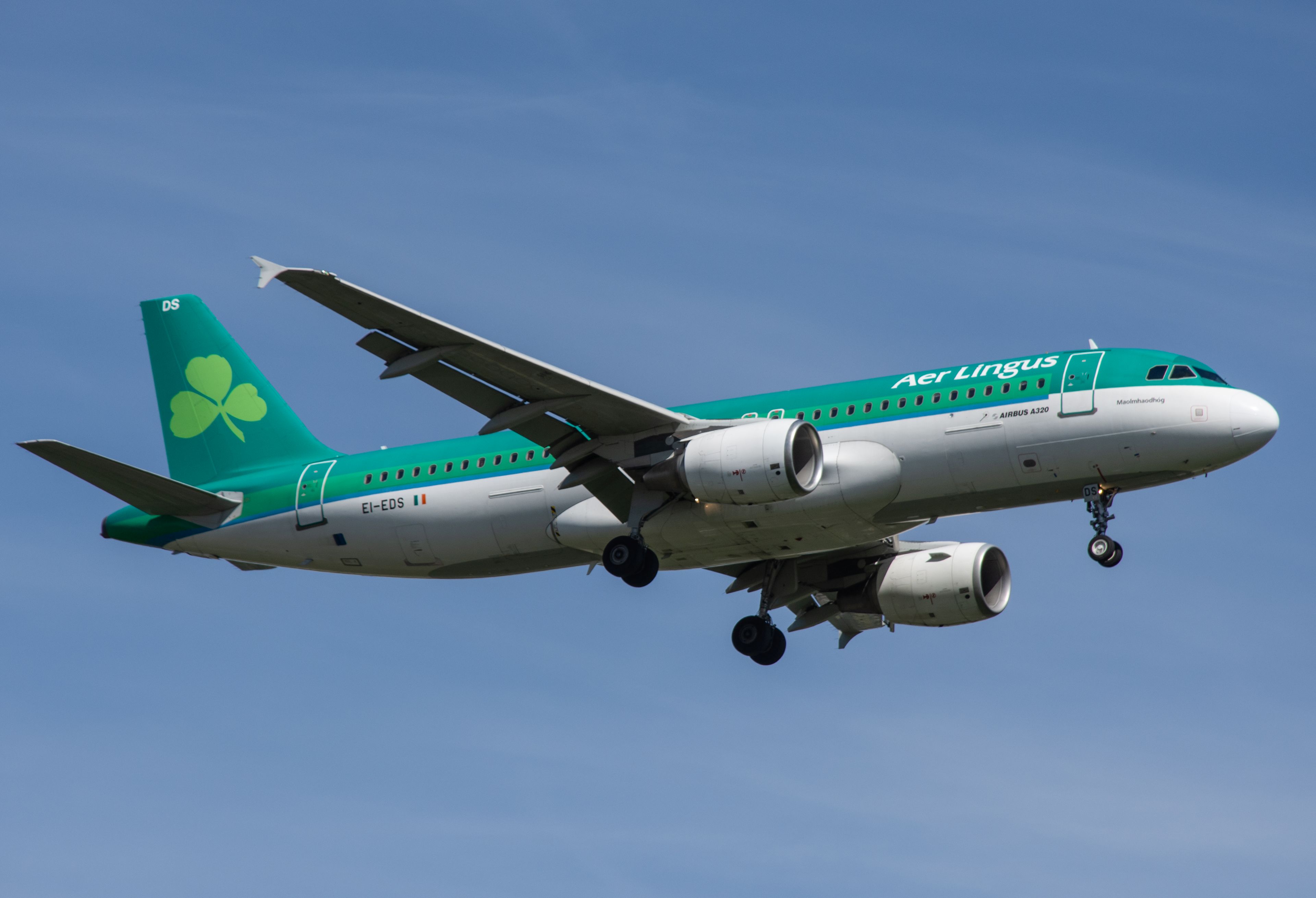 EI-EDS/EIEDS Aer Lingus Airbus A320 Airframe Information - AVSpotters.com