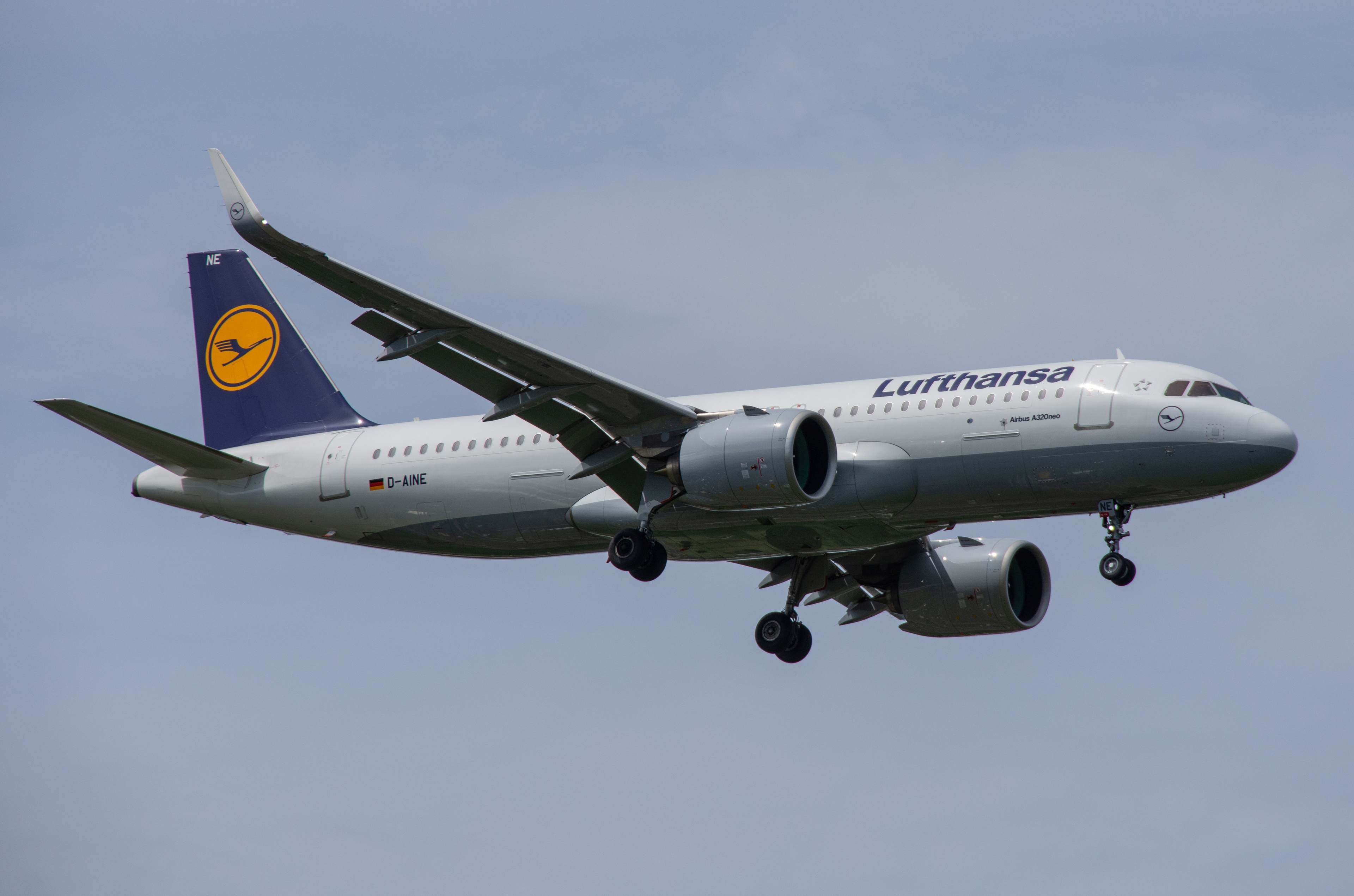 D-AINE/DAINE Lufthansa Airbus A320-271n Photo by Ayronautica - AVSpotters.com