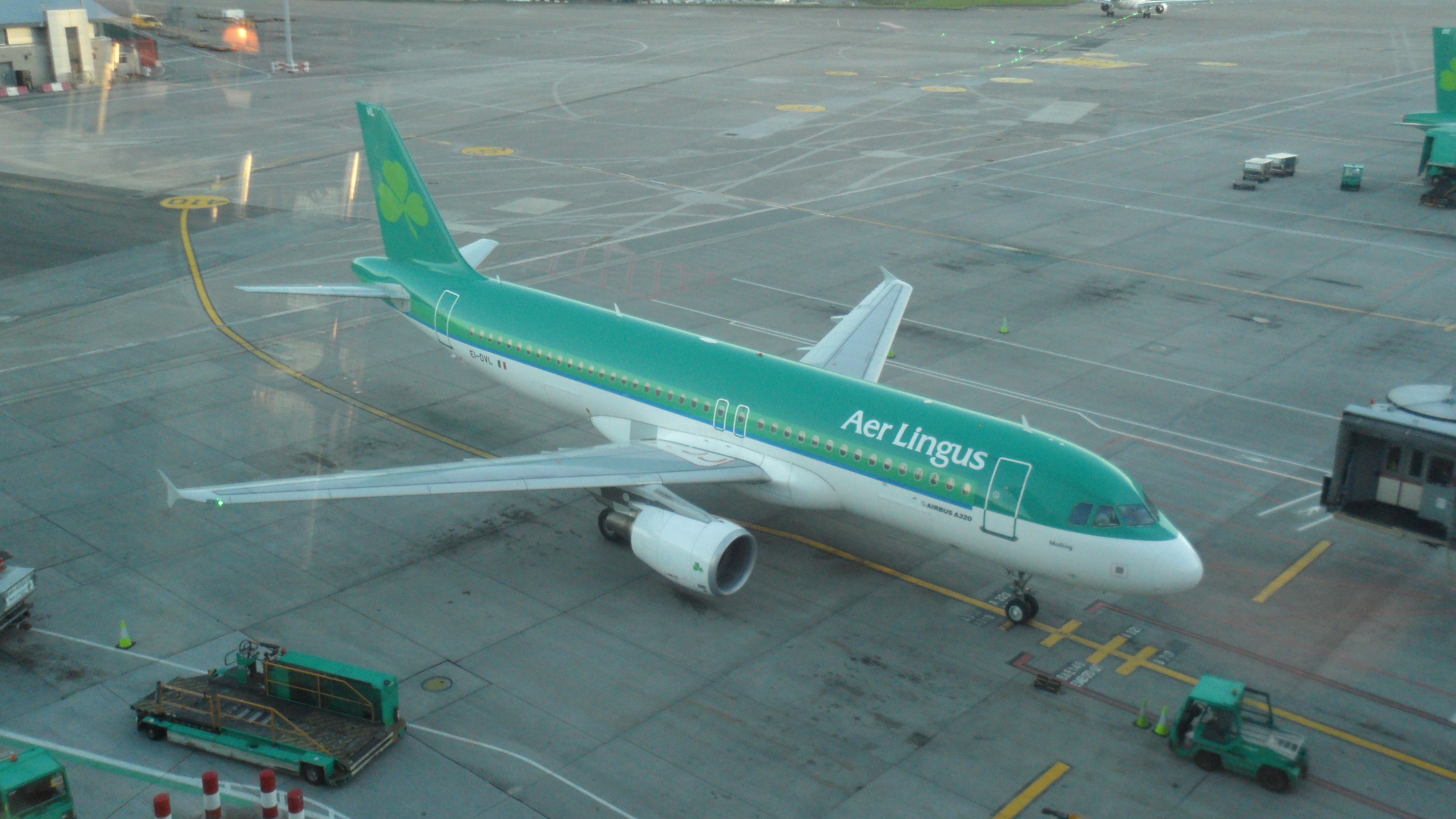 EI-DVL/EIDVL Aer Lingus Airbus A320-214 Photo by RJflyer - AVSpotters.com