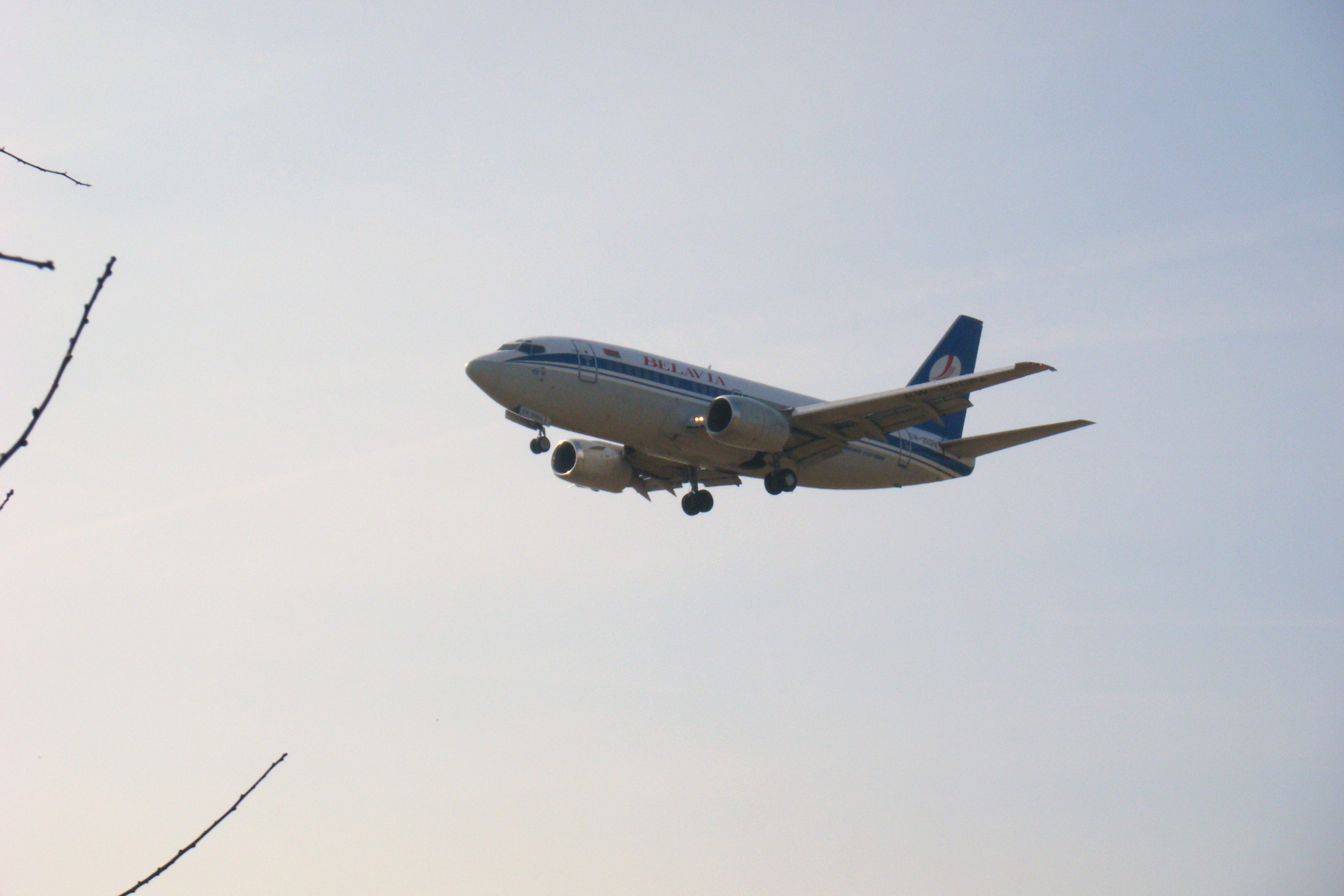 EW-250PA/EW250PA Belavia Belarusian Airlines Boeing 737-524 Photo by RJflyer - AVSpotters.com