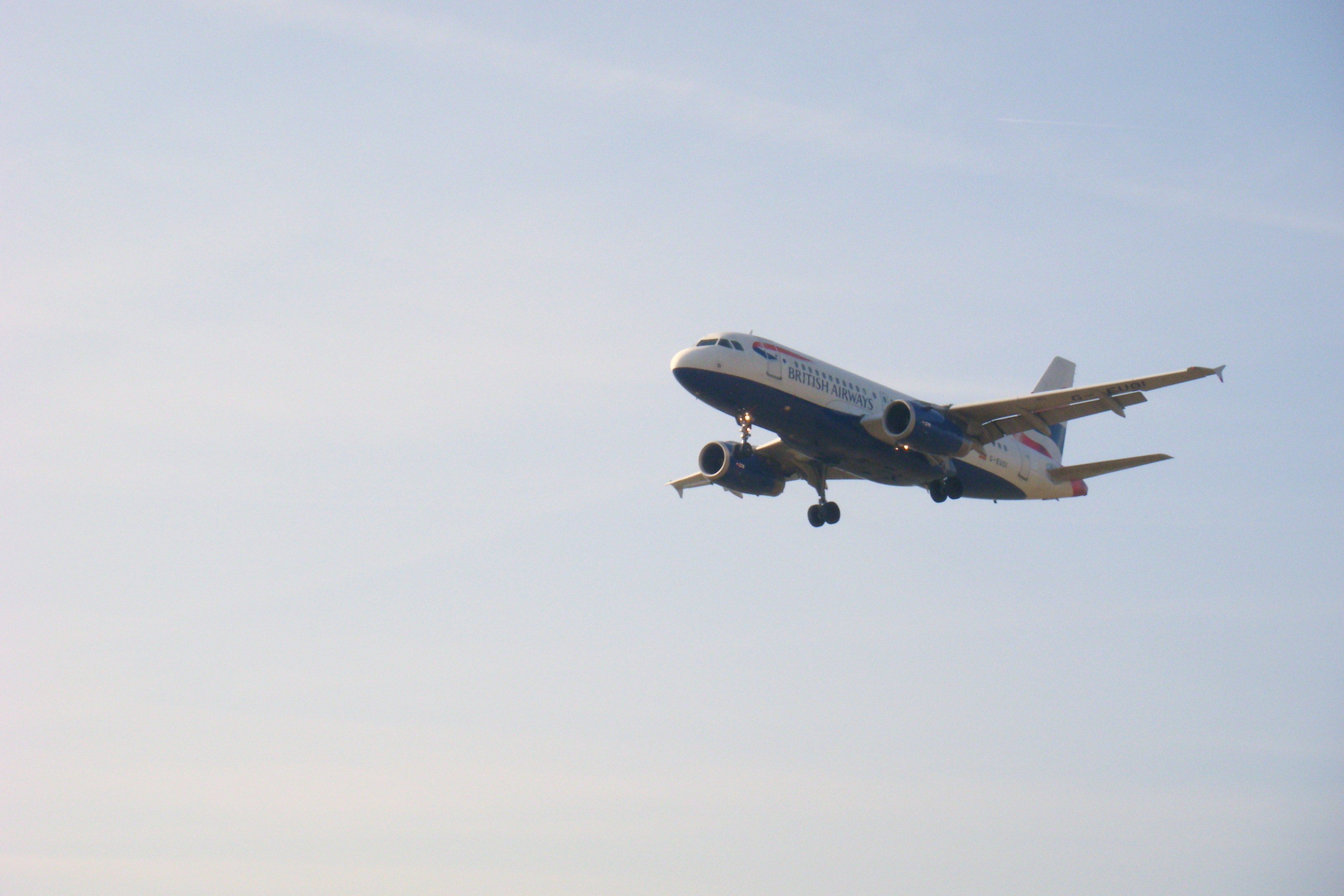 G-EUOI/GEUOI British Airways Airbus A319-131 Photo by RJflyer - AVSpotters.com