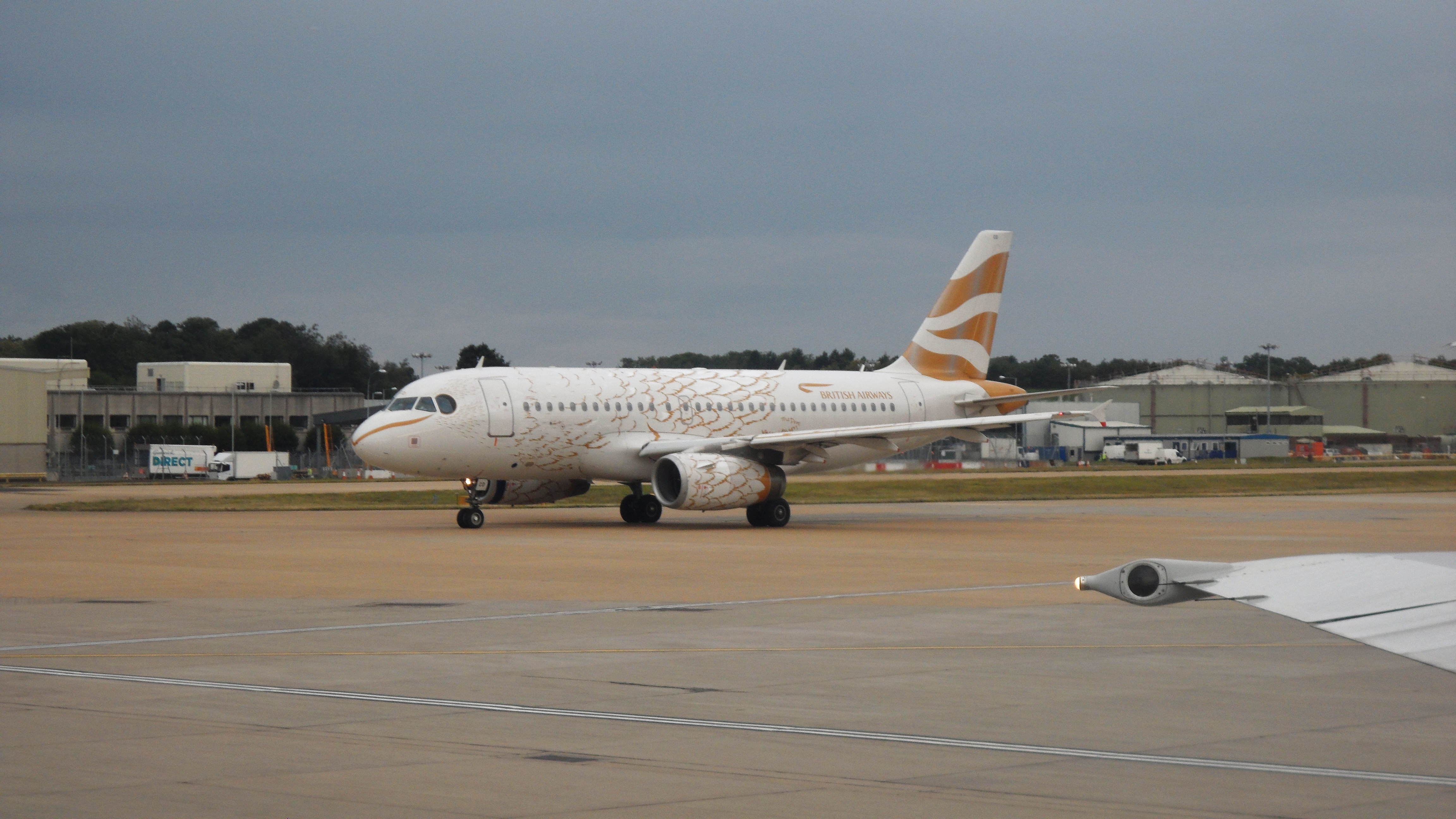 G-DBCD/GDBCD British Airways Airbus A319-131 Photo by RJflyer - AVSpotters.com