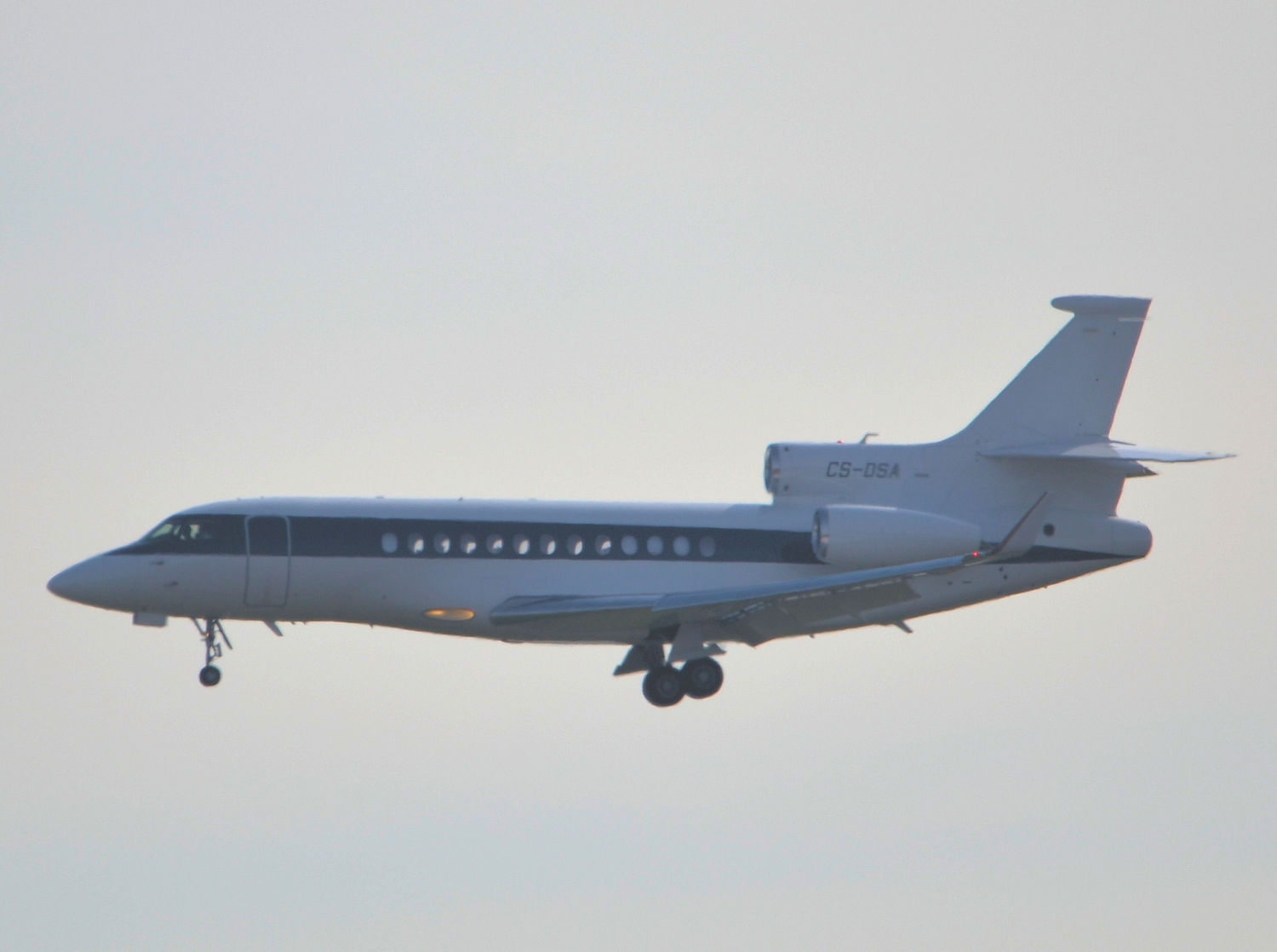 CS-DSA/CSDSA NetJets Dassault Falcon 7X Photo by Warthog1 - AVSpotters.com