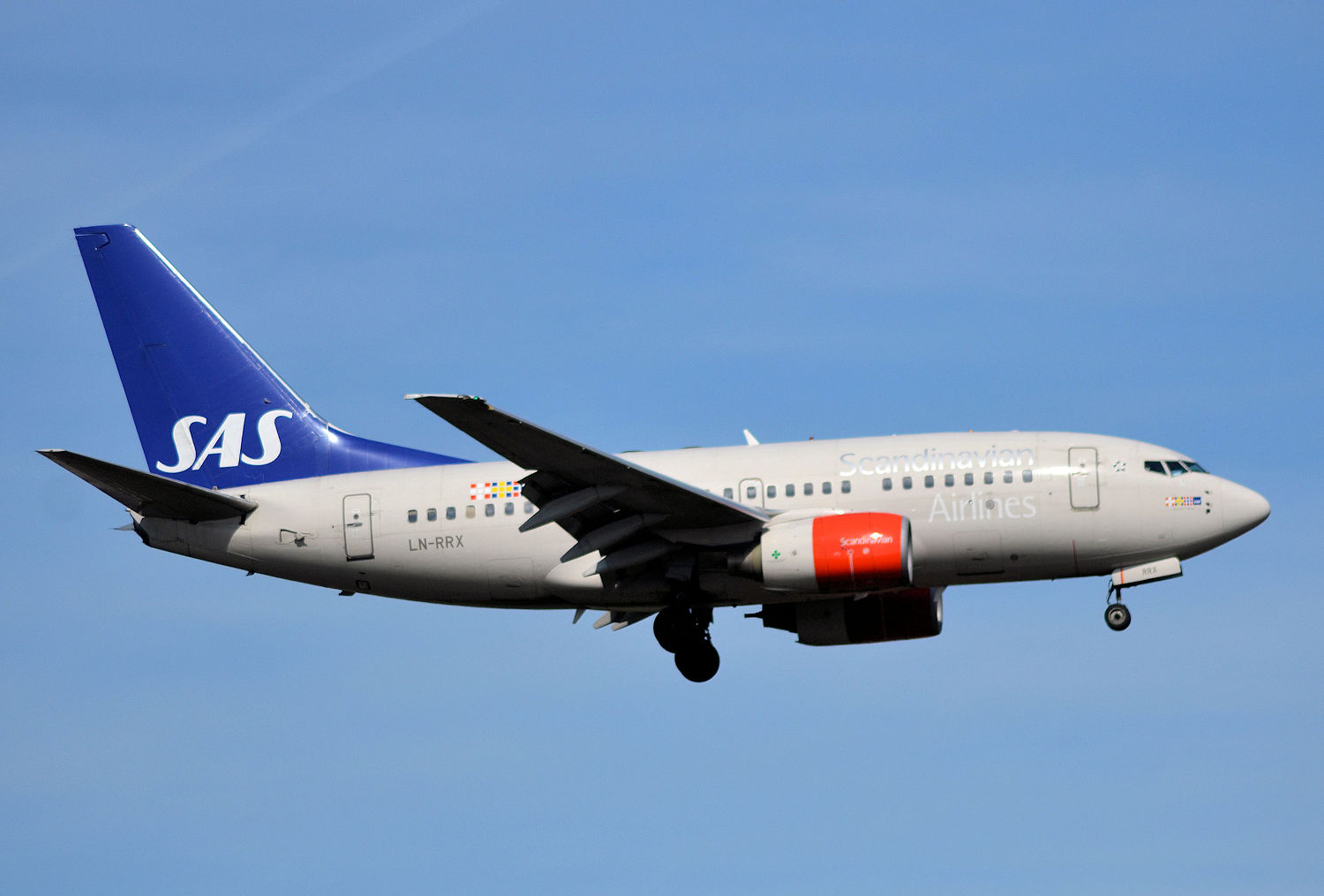 LN-RRX/LNRRX SAS Scandinavian Airlines Boeing 737-683 Photo by Warthog1 - AVSpotters.com