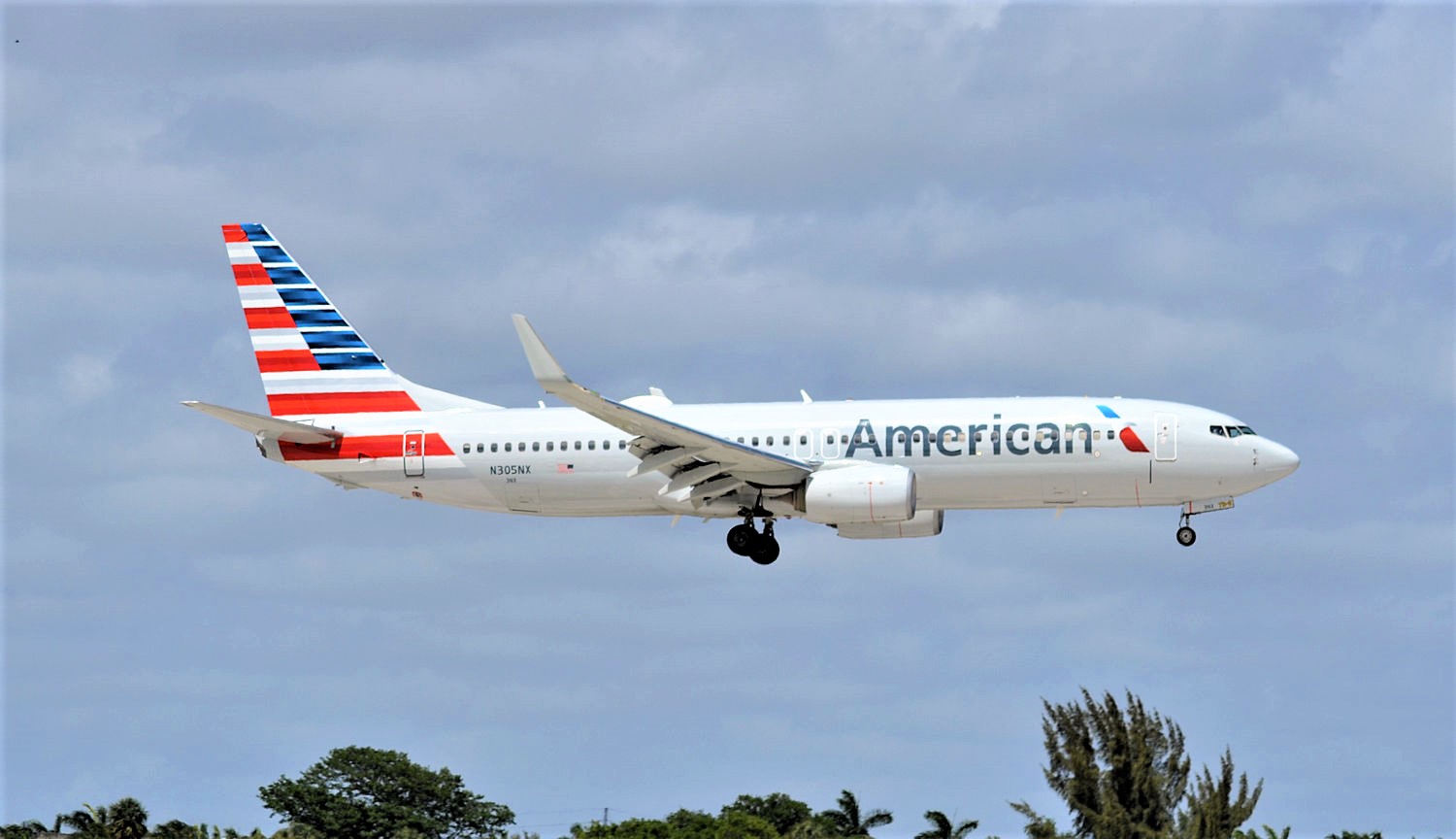 N305NX/N305NX American Airlines Boeing 737-800(WL) Photo by Warthog1 - AVSpotters.com